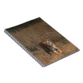 CARNET TIGER PORTRAIT (Côté Droit)