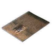 CARNET TIGER PORTRAIT (Côté gauche)