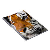 Carnet Tigre (Côté Droit)