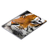 Carnet Tigre (Côté gauche)