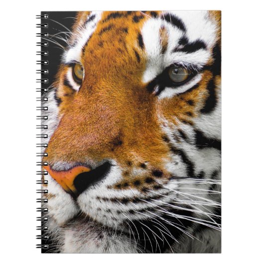 Carnet Tigre (Devant)