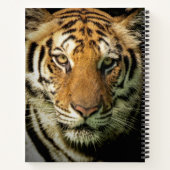 Carnet tigre (Dos)