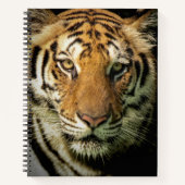 Carnet tigre (Devant)