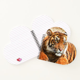 Carnet Tigre