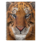 Carnet Tigre (Devant)