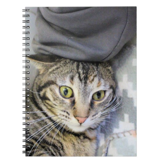 Carnet Tigre (Devant)