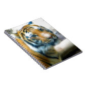 Carnet Tigre (Côté Droit)