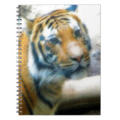 Carnet Tigre (Devant)