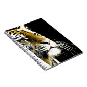 Carnet Tigre (Côté Droit)
