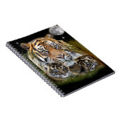 Carnet Tigre (Côté Droit)