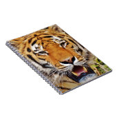 Carnet Tigre (Côté Droit)