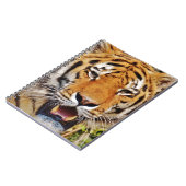 Carnet Tigre (Côté gauche)