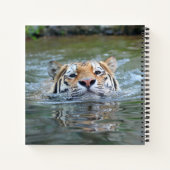 Carnet Tigre 028 (Dos)