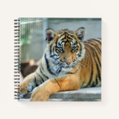 Carnet Tigre 034 (Devant)