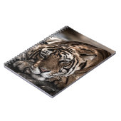 Carnet Tigre de Ranthambore : gros plan. (Côté gauche)