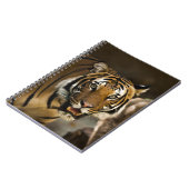 Carnet Tigre de Sibérie (Côté gauche)
