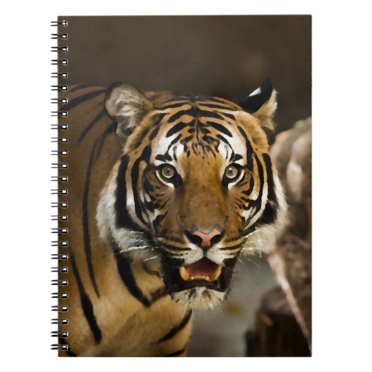 Carnet Tigre de Sibérie (Devant)