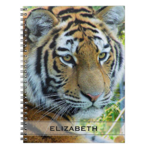 Carnet Tigre de Sibérie, Tigre de l'Amour