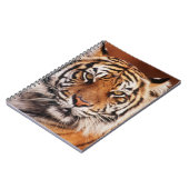 Carnet Tigre de Sumatra (Côté gauche)