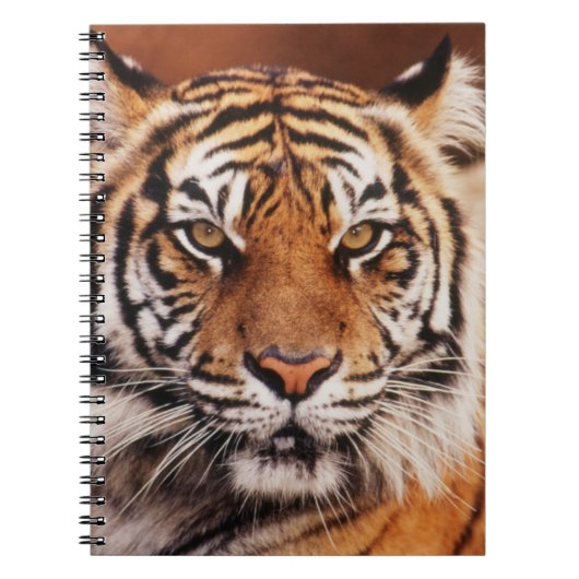 Carnet Tigre de Sumatra (Devant)
