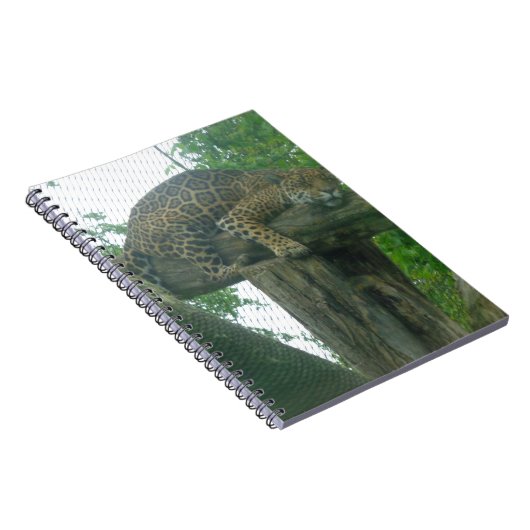 Carnet Tigre dormant dans l'arbre, la forêt, la nature, l (Côté Droit)