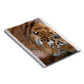Carnet Tigre du Bengale (Côté Droit)