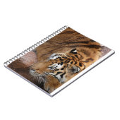 Carnet Tigre du Bengale (Côté gauche)