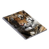 Carnet Tigre sauvage (Côté Droit)