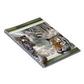 Carnet Tigres, Zèbre, Giraffe, Jungle Primitive (Côté Droit)