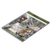 Carnet Tigres, Zèbre, Giraffe, Jungle Primitive (Côté gauche)