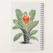 Carnet Tillandsia Musaïque (Verso)