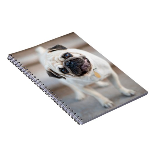 Carnet Tillette Carlin (Côté Droit)