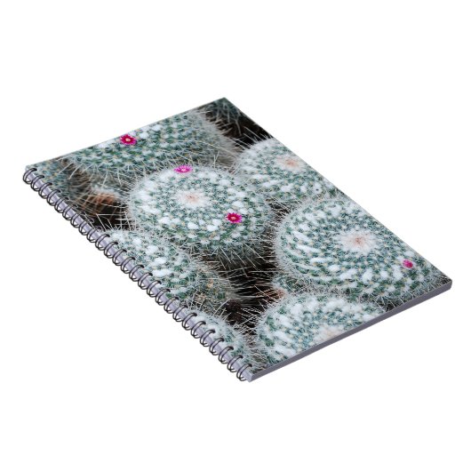 Carnet Tiny rose Fleurs Plantes Cactus (Côté Droit)