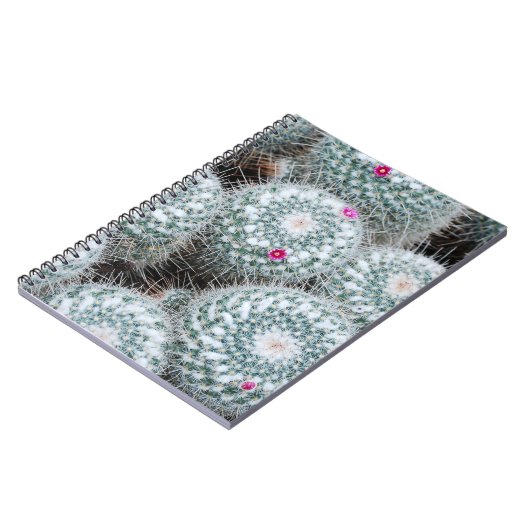 Carnet Tiny rose Fleurs Plantes Cactus (Côté gauche)