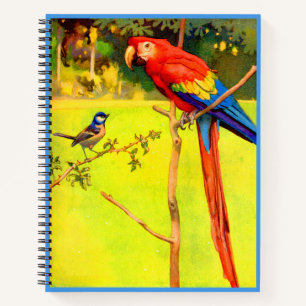 Carnet tirage de moineaux et de perroquets