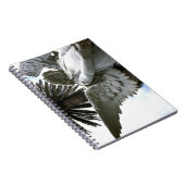 Carnet Tiré en paix (Côté Droit)