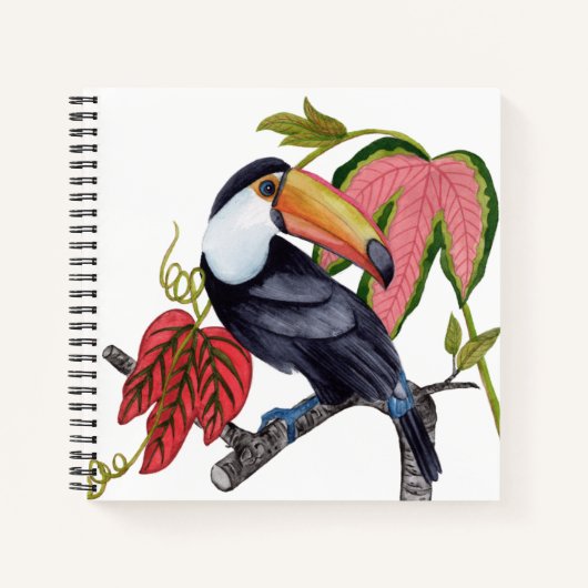 Carnet Toco Toucan (Devant)