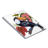 Carnet Toco Toucan (Côté Droit)