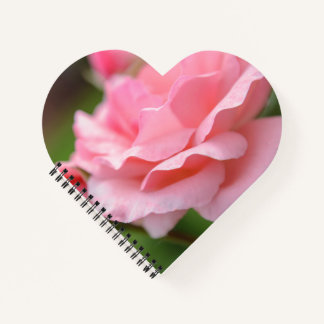 Carnet Toile emballée rose rose