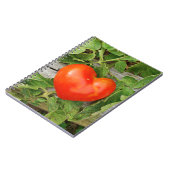 Carnet Tomate en forme de coeur (Côté gauche)