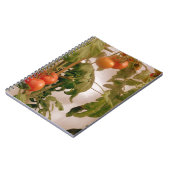 Carnet Tomates Sur La Vigne (Côté gauche)