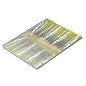 Carnet "Tons D'Argent" Bouleau Argent Reflète moderne (Côté gauche)