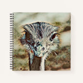 Carnet toono (Devant)