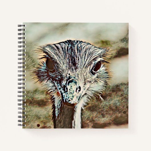 Carnet toono (Devant)