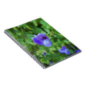 Carnet Torenia (Côté Droit)