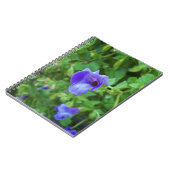 Carnet Torenia (Côté gauche)