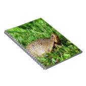 Carnet Tortue (Côté Droit)