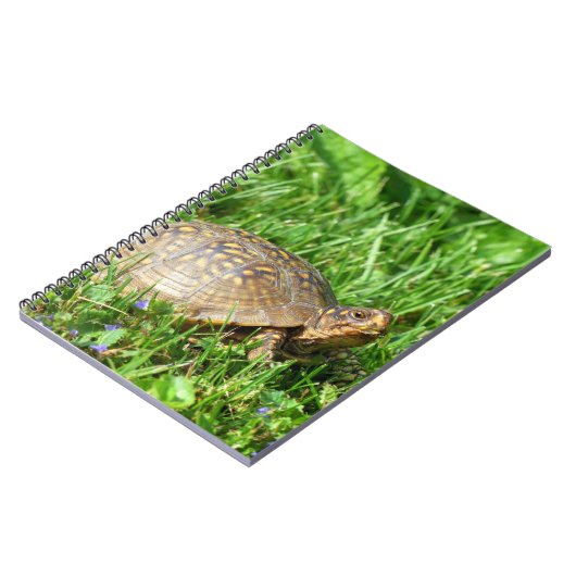Carnet Tortue (Côté gauche)