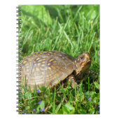 Carnet Tortue (Devant)