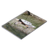 Carnet Tortue (Côté gauche)